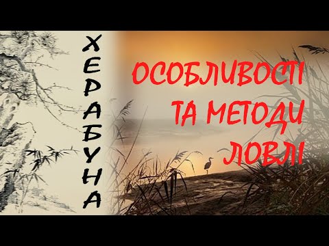Видео: Деякі особливості та прийоми ловлі методом херабуна