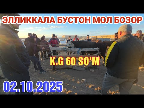 Видео: 2 октября 2025 ЭЛЛИККАЛА БУСТОН МОЛ БОЗОР НАРХЛАРИ 