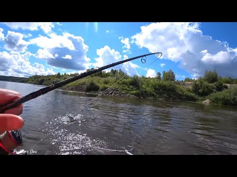 Видео: Наконец то ПОКЛЕВКИ! Рыбалка на Спиннинг с Лодки на Оке в Августе!