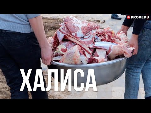 Видео: Халиса! Очень много и бесплатно. Узбекистан. Ташкент. Проведу. Ровшан Ходжиев.