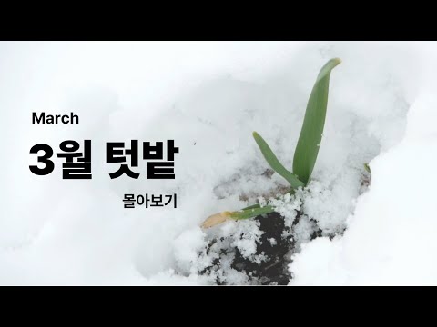 Видео: [Мартовский огородный обзор] Перезимовавшие культуры и мартовские посевы /