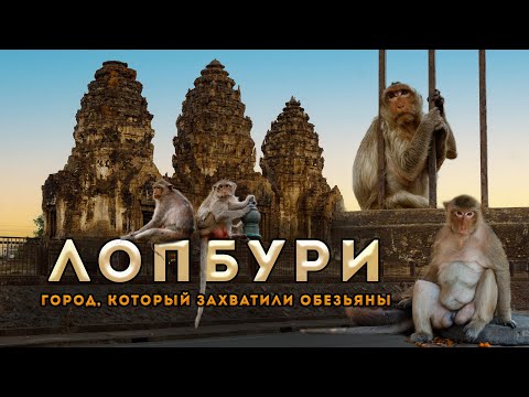 Видео: Лопбури - город, который захватили обезьяны