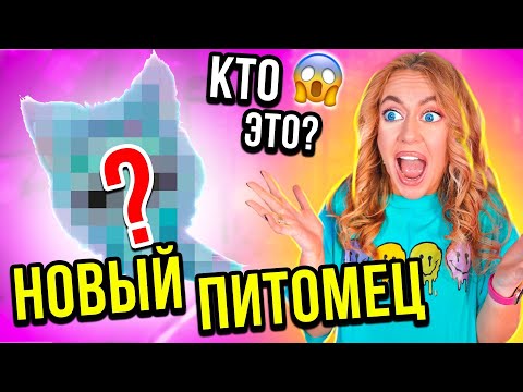 Видео: У НАС ПОЯВИЛСЯ НОВЫЙ ПИТОМЕЦ🤩👉 ВСЕ Собаки В ШОКЕ!
