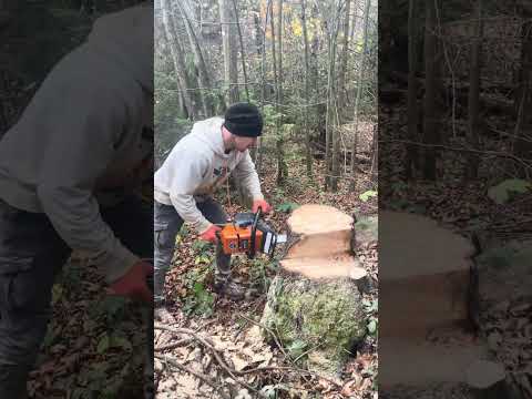 Видео: 31 жовтня 2025 р.