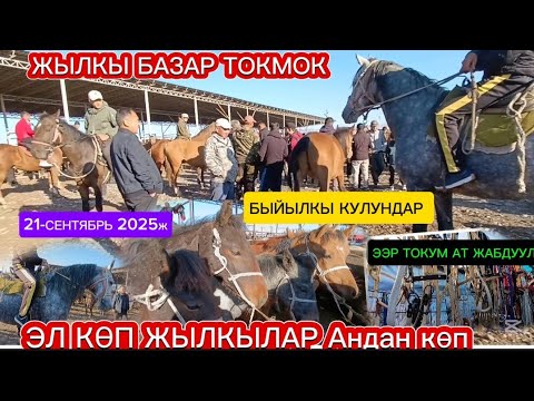 Видео: ЖЫЛКЫ БАЗАР ТОКМОК МАЛ БАЗАР 21-СЕНТЯБРЬ 2025ж Аттар, БЭЭЛЕР, БЫЙЫЛКЫ КУЛУНДАР 
