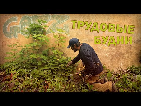 Видео: Трудовые будни от первого лица 04