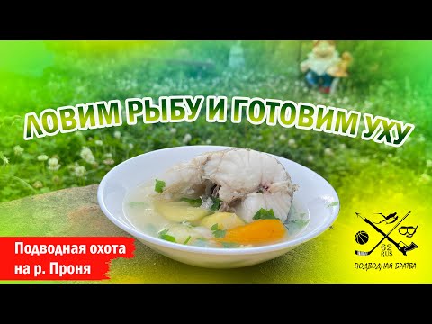 Видео: Ловим рыбу и готовим уху. Подводная охота в Рязанской области на р. Проня.