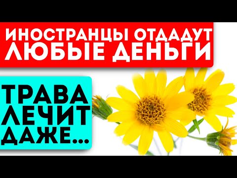 Видео: Мощное средство для сосудов, суставов, ухода за кожей и даже …