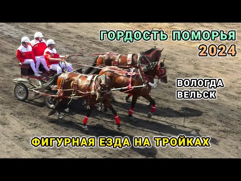 Видео: Фигурная езда на русской тройке - Вологда, Вельск - Гордость Поморья 2024