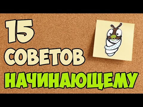 Видео: 15 СОВЕТОВ НАЧИНАЮЩЕМУ МИРМЕКИПЕРУ