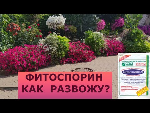 Видео: ФИТОСПОРИН. КАК Я РАЗВОЖУ.