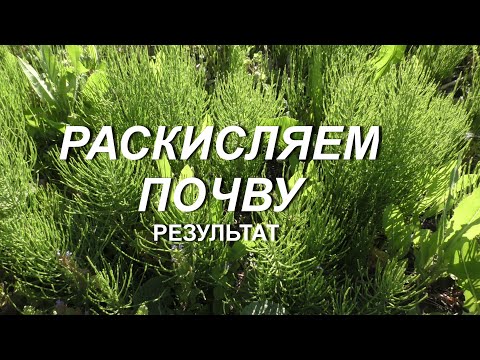 Видео: РЕЗУЛЬТАТ РАСКИСЛЕНИЯ ПОЧВЫ