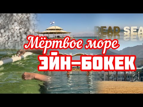 Видео: 266.Израиль.Мёртвое море.Эйн-Бокек.17 октября 2024 год