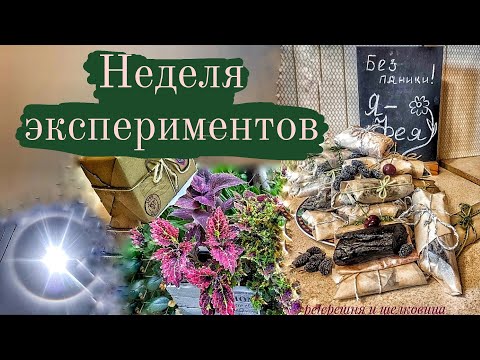 Видео: Неделя экспериментов