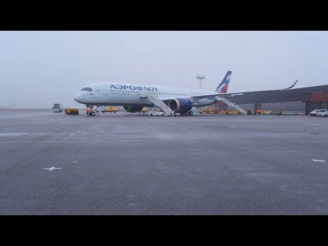 Видео: Добро пожаловать на борт Airbus A350 Аэрофлота!