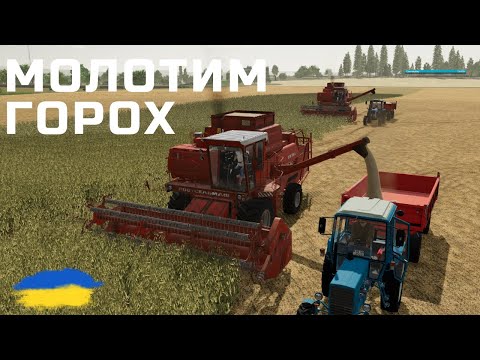 Видео: FS22/ Дон 1500 / молотим горох