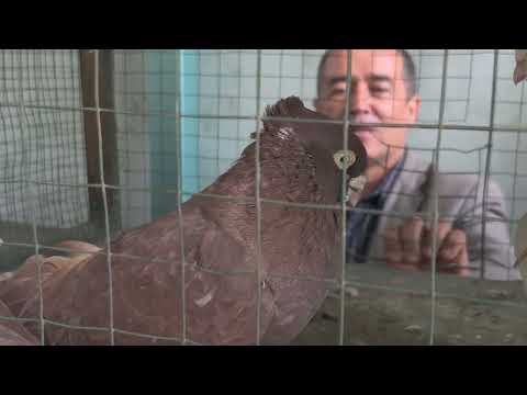 Видео: 25 октября 2025 г.