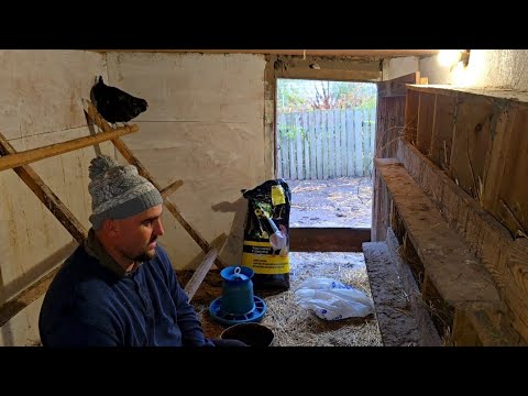 Видео: Проверим его  на курах и утках!