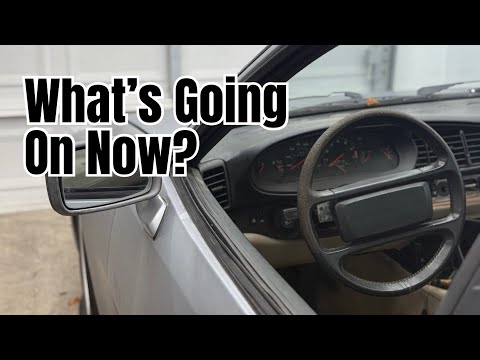 Видео: Что происходит сейчас?