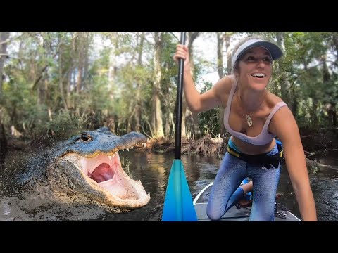Видео: Случаи с Аллигатором, Которые Лучше не Смотреть Одному