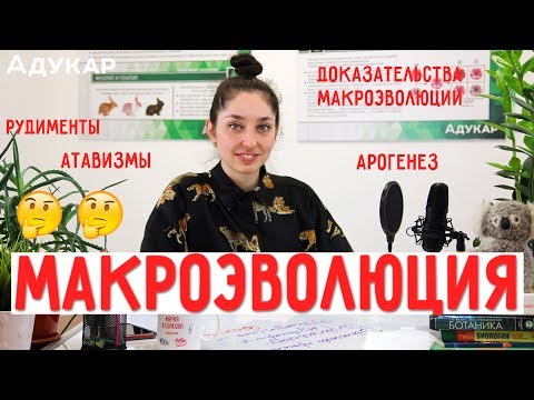 Видео: Макроэволюция и ее доказательства | Биология ЦТ, ЕГЭ