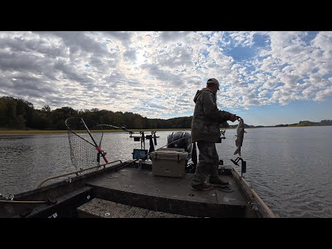 Видео: Надеялся на что-то другое