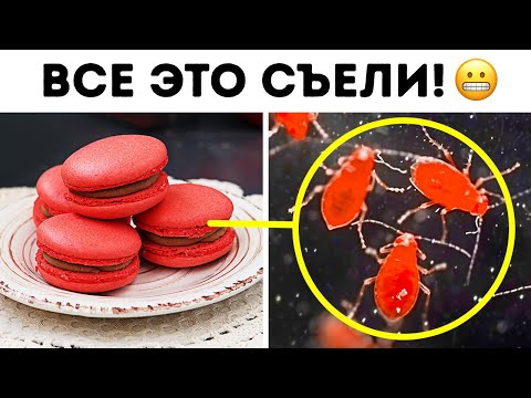 Видео: Тайная жизнь обыденных вещей: то, что вы упустили
