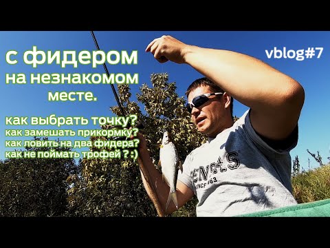 Видео: С фидером на незнакомом месте.  Vblog#7