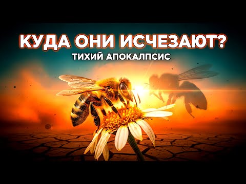 Видео: 🔥 Исчезновение Пчел: Тихий Апокалипсис, Уничтожающий Наш Мир