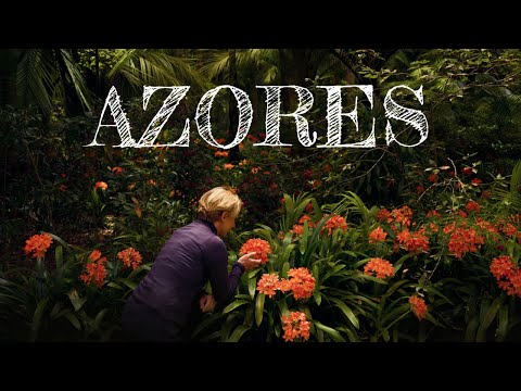 Видео: Азорские острова. Сан Мигель - зеленый рай | Azores island