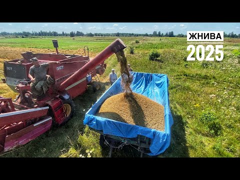 Видео: Жнива 2025  Врожай не дуже, але що маємо те маємо!!