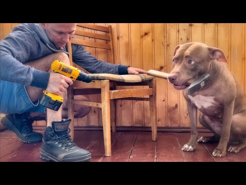 Видео: 13 лет живу один с собаками