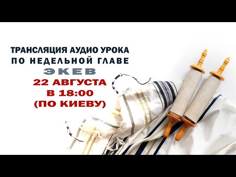 Видео: Экев  Уроки по недельной главе с р. Дов Бер Байтманом