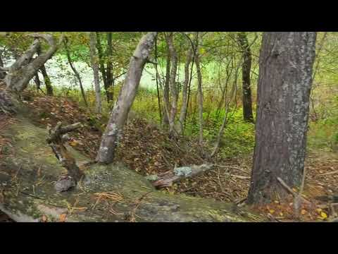 Видео: "Білий берег",який вже не білий...