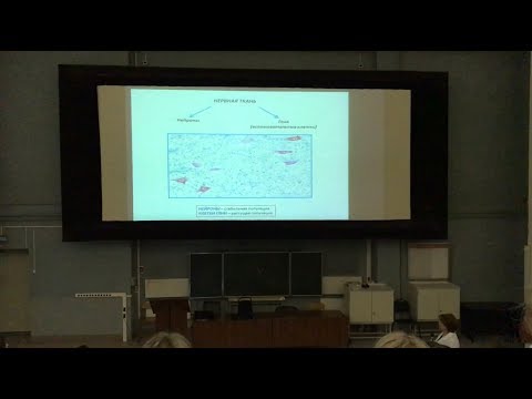 Видео: Гистология. Нервная ткань (Ч1)