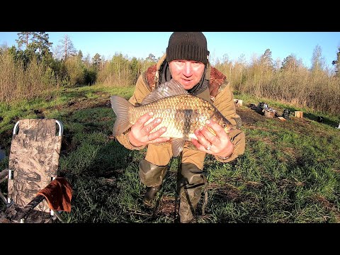 Видео: Рыбалка с ночёвкой!!! Таких карасей я ещё неловил!!!