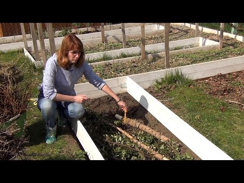 Видео: Создание теплой грядки