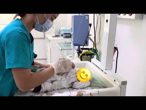 Видео: 17 қыркүйек - Халықаралық пациенттердің қауіпсіздігі күні