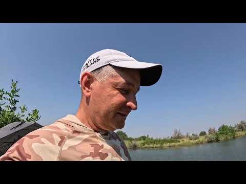 Видео: Летняя рыбалка на фидер. Откуда здесь амур?