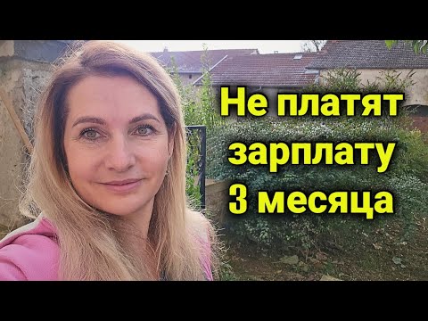 Видео: работа в Швейцарии | как выбивать долги | нелегальная работа