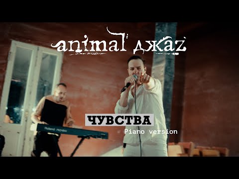 Видео: Animal ДжаZ — Чувства (Piano version, Live, 2024)