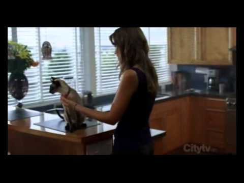 Видео: Supernatural_Волчица