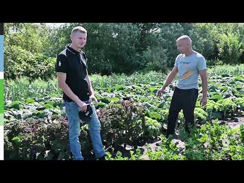 Видео: Bejo в гостях у ЛПХ семьи Дранько