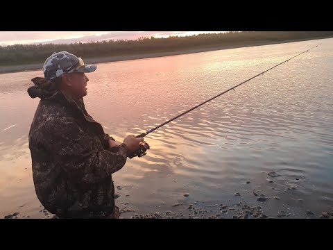 Видео: ВОБЛЕРОДЕЛ СОБОЛЕВСКИЙ В ЯКУТИИ! В ПОИСКАХ ТАЙМЕНЯ!!!