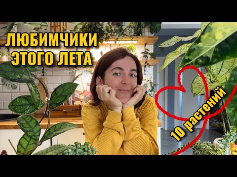 Видео: 10 любимых растений этого лета❤️ Показываю до/после, рассказываю про уход и содержание. 