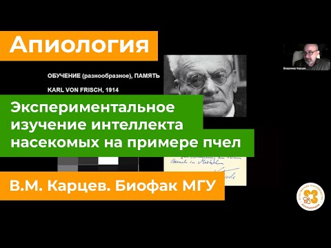 Видео: Экспериментальное изучение интеллекта насекомых на примере пчел