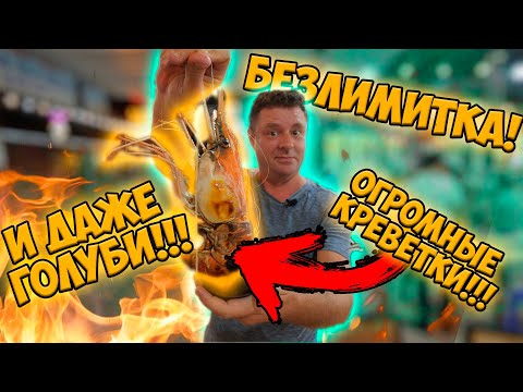 Видео: Обзор Bufet BBQ. Безлимитка с огромными креветками!