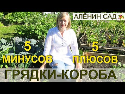 Видео: 5 МИНУСОВ и 5 плюсов высоких грядок / ГРЯДКИ-КОРОБА / Тёплые грядки