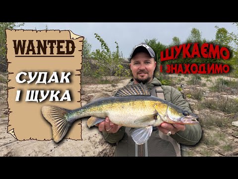 Видео: Хочете Зловити Рибу на Десні? Перегляньте Це!