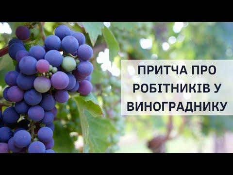 Видео: «Притча про робітників у винограднику» | Роман Макарчук